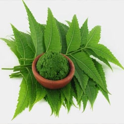 Neem Powder