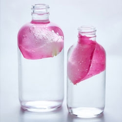 Rose Water